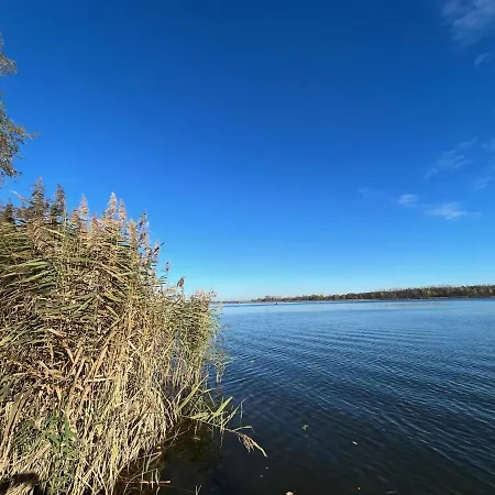 Gold Pearl Zegrze 公寓 *