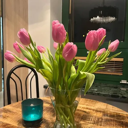 公寓 Gold Pearl Zegrze