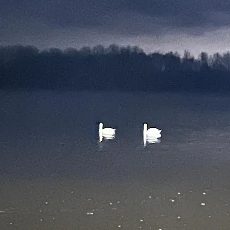 公寓 Gold Pearl Zegrze *