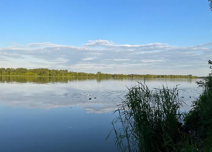 Gold Pearl Zegrze Apartment *