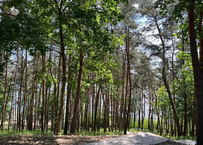 Apartment Gold Pearl Zegrze