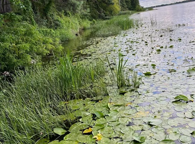 Gold Pearl Zegrze Apartment Serock